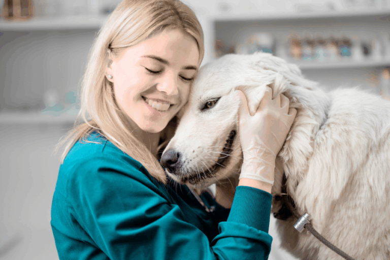 5 Ways to Improve Client Communication Before the Exam Room